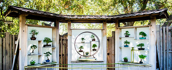 The Huntington-203