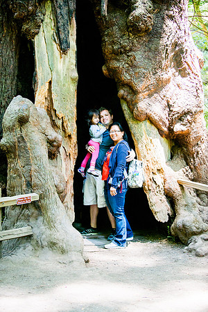 SF July 2014 (23 of 29)