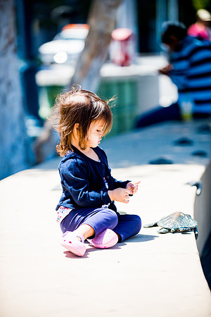 SF July 2014 (6 of 29)