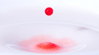 Water Drops 1.0