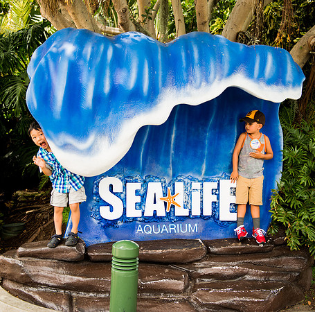 Legoland (17 of 23)