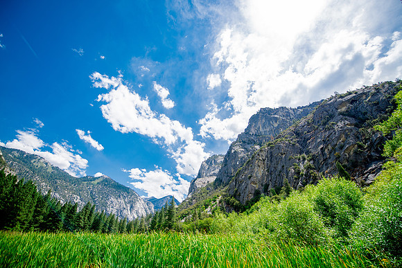 Sequoia 2020 (25 of 52)