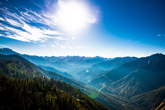 Sequoia 2020 (16 of 52)