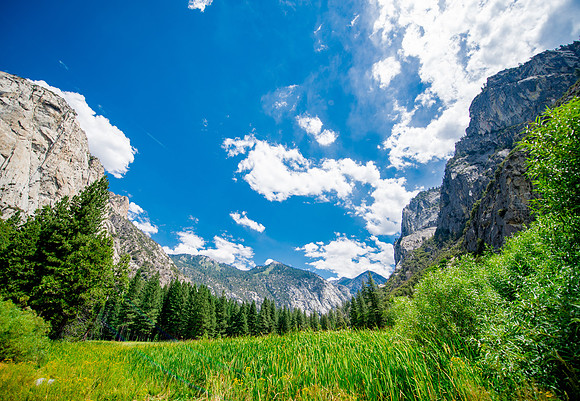 Sequoia 2020 (24 of 52)