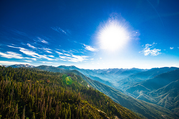 Sequoia 2020 (18 of 52)