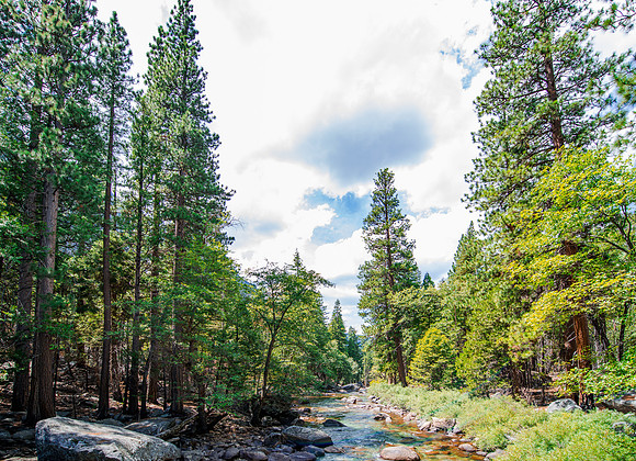 Sequoia 2020 (23 of 52)