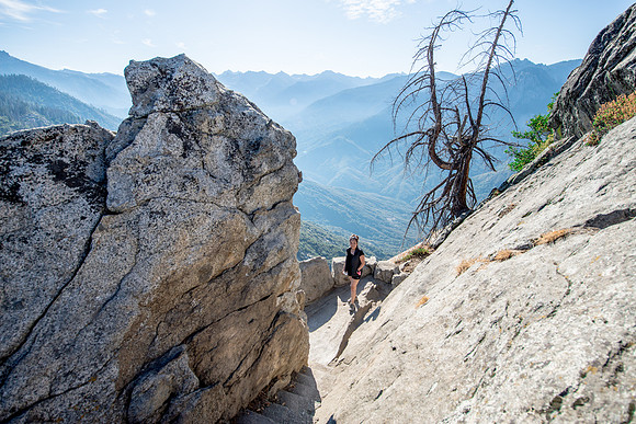 Sequoia 2020 (19 of 52)