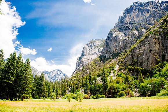 Sequoia 2020 (30 of 52)