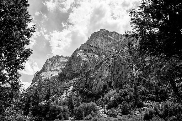 Sequoia 2020 (26 of 52)