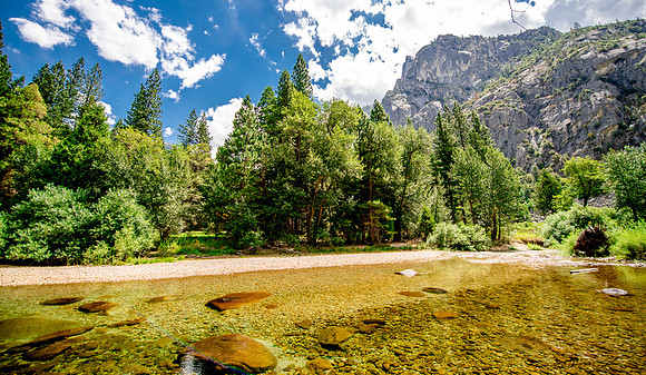 Sequoia 2020 (21 of 52)