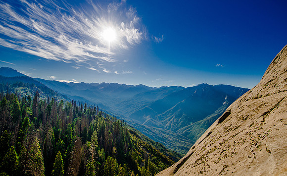 Sequoia 2020 (13 of 52)
