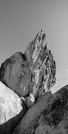 Sequoia 2020 (14 of 52)