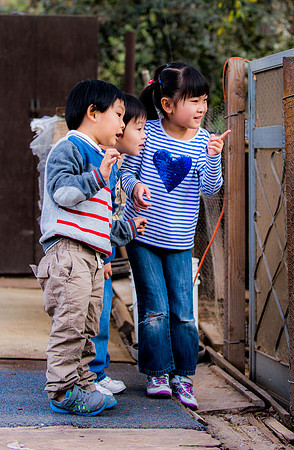 Konnors Birthday Party (14 of 59)