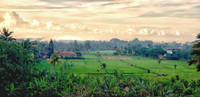Bali 2019