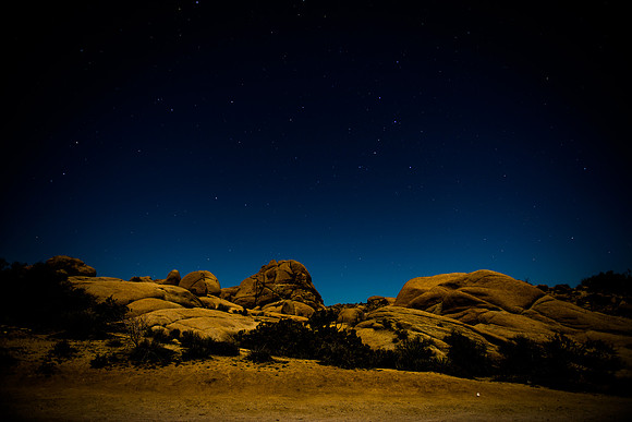 Konnor Joshua Tree 2026 (20 of 20)